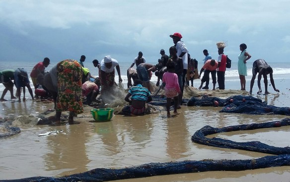 20160705_135834-1-1[1]