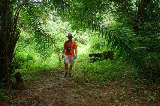 Walking on Banana Island
