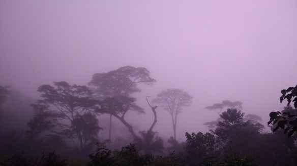 img_20161109_0621490691